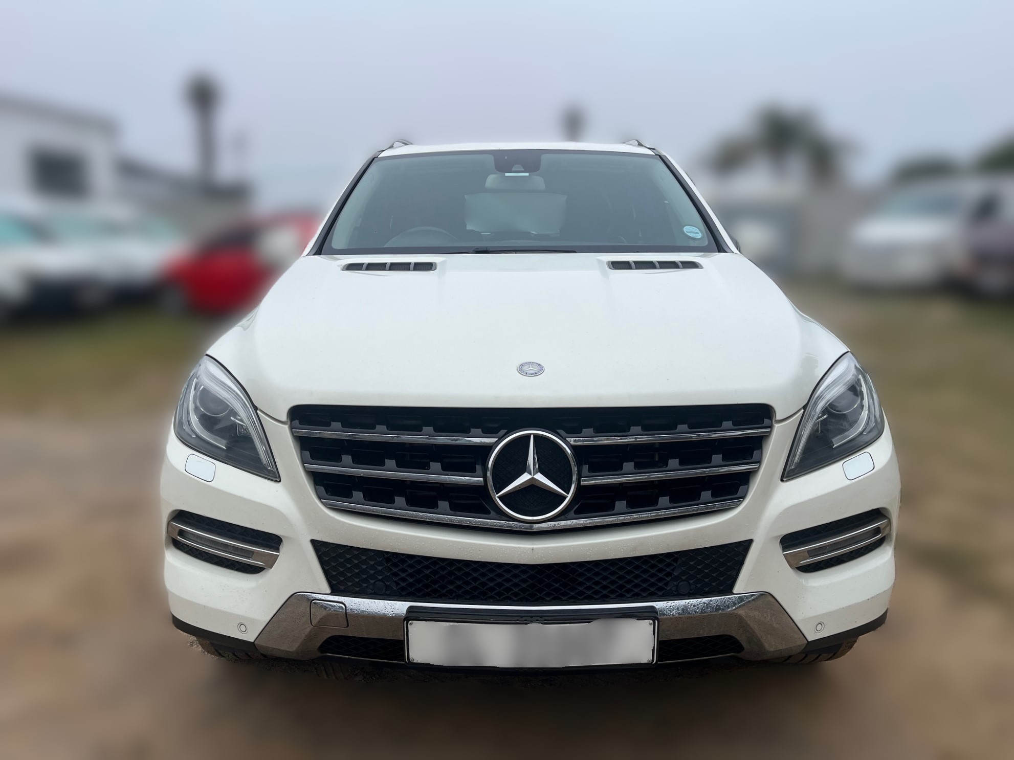 2013 Mercedes-Benz ML250 BlueTec thumbnail 10